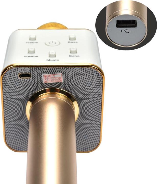 Immagine prodotto JTI Microfono per karaoke KTV