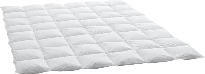 Produktbild Swiss Dream by billerbeck Cassette Classic 90 (650 g, 160 x 210 cm)