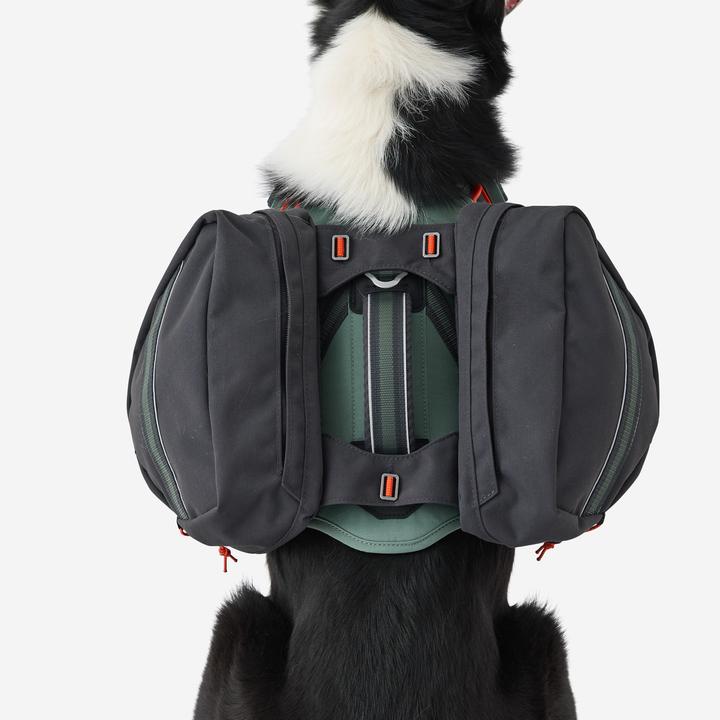 Image du produit Caperlan Harnais de randonnée pour chien (S, Chien)