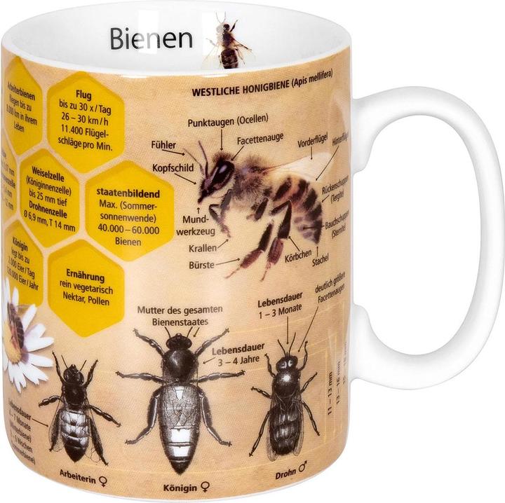 Produktbild Könitz Kaffeetasse Wissensbecher Biene 490 ml, 1 Stück, Mehrfarbig (490 ml, 1 x)