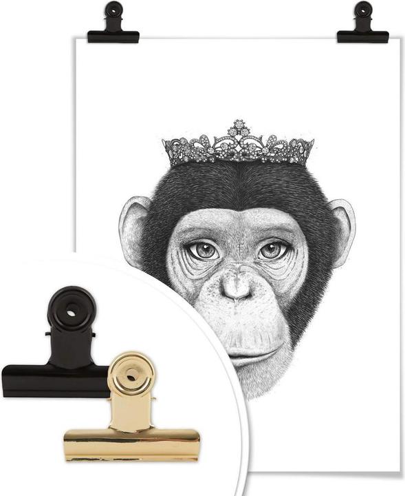 Image du produit Trenddeko Le Singe de la Reine (120 x 150 cm)