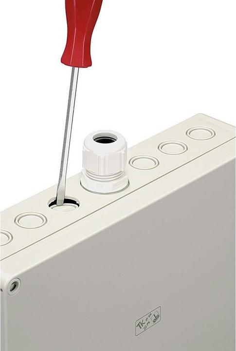Actual product image Spelsberg TK plastic housing made of impact-resistant polystyrene (Housing)