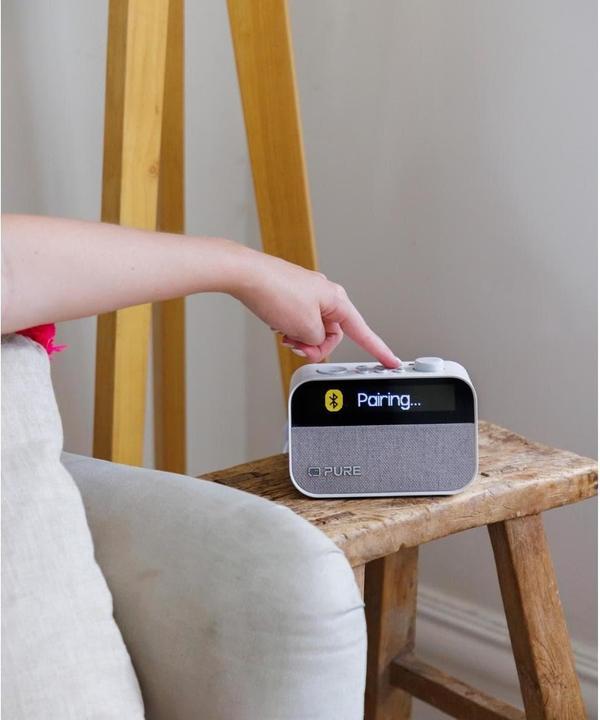 Actual product image Pure Moment (FM, DAB+, Bluetooth)