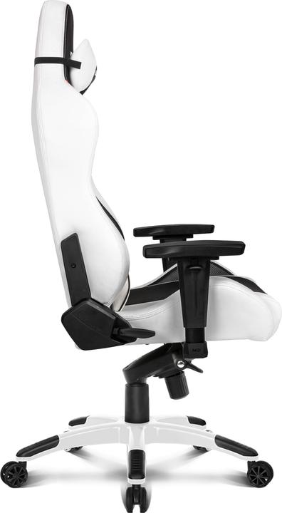 Actual product image Akracing Master Premium