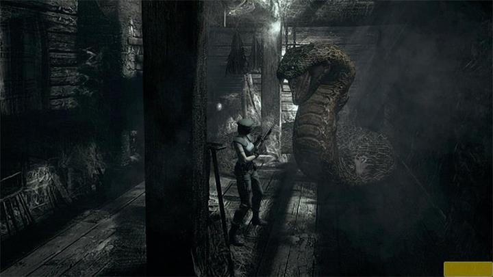 Produktbild Capcom Resident Evil Origins Collection (PS4)