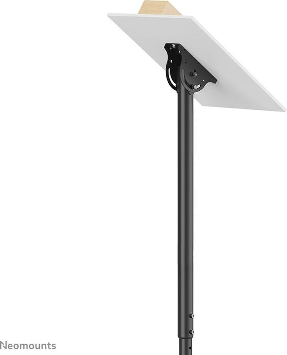 Immagine prodotto Neomounts CL35-340BL12 (Soffitto, 42", 50 kg)