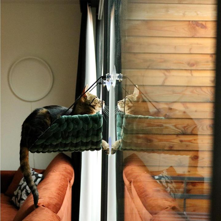 Image du produit D&D Sofia Fensterbett (Chat)