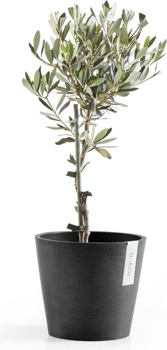 Actual product image Ecopots Amsterdam (20 cm)