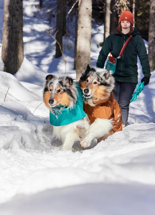 Immagine prodotto Hurtta Monsoon V2 (40, Cappotto impermeabile per cani)