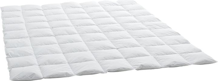 Image du produit Billerbeck Edition Thea Clima Superlight (360 g, 200 x 210 cm)