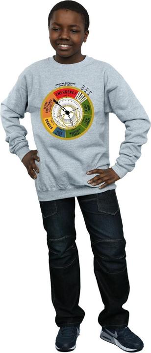 Image du produit Fantastic Beasts - Sweat THREAT LEVEL - Garçon (128)