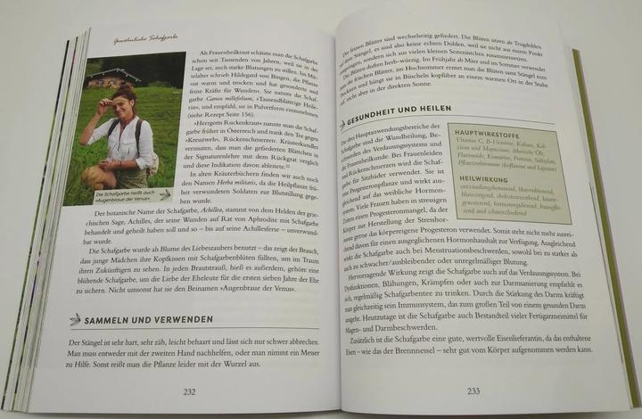 Produktbild Meine Wildkräuter (Deutsch, Martina Fischer, Dorothea Steinbacher, 2023)