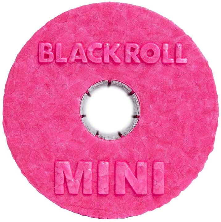 Produktbild Blackroll Mini