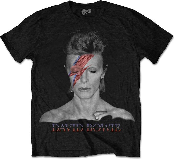David Bowie Aladdin Sane (S)