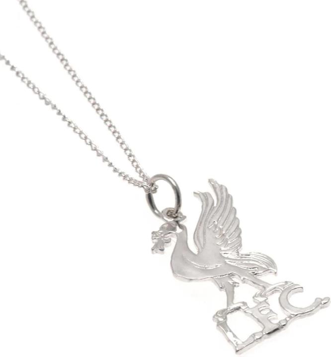 Produktbild Score Draw Sterling Silber LiverbirdAnhänger und Kette (100% Sterling Silber)
