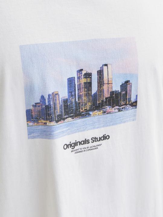 Immagine prodotto Jack & Jones Jorvesterbro Picture Tee Ss Crew Neck Sn (M)