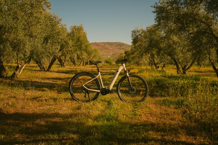Actual product image Rockrider E-Bike SUV Trekking 28 inch e-actv 500 LF low entry Yamaha beige