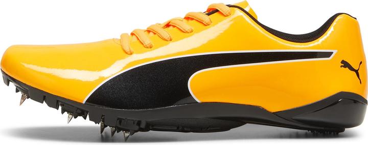 Actual product image Puma evoSPEED Prep Sprint 3.5 (45)