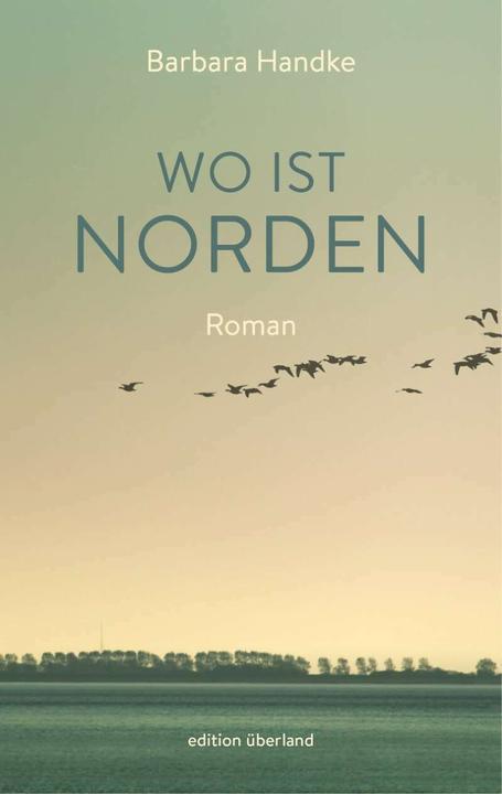 Immagine prodotto Wo ist Norden (Tedesco, Barbara Handke, 2020)
