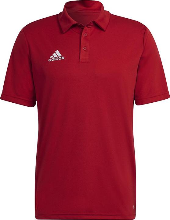 adidas Entrada 22 polo shirt men