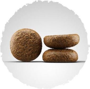 Image du produit Josera Nature active (Adulte, 1 pcs, 900 g)