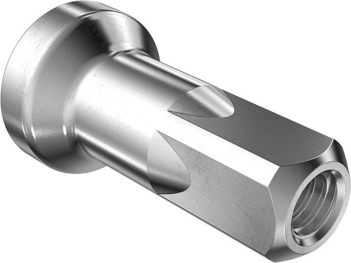Produktbild DT Swiss Pro Lock
