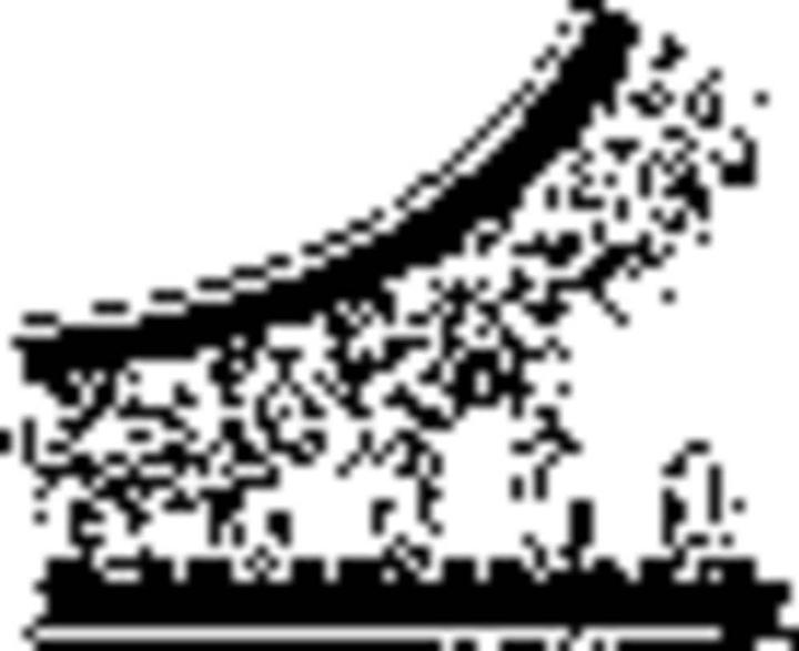 Actual product image 3M Velcro 25mmx5m (25.40 mm)