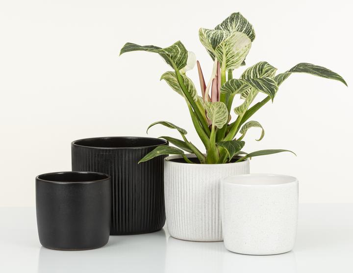 Immagine prodotto Scheurich Vaso da fiori Ebano 16 cm, Nero (17.60 cm)