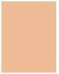 Actual product image Dior Forever Skin Glow 24H Radiant Foundation (3WP Warm Peach)