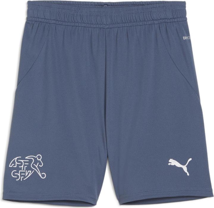Actual product image Puma SFV Shorts Replica Jr (164)