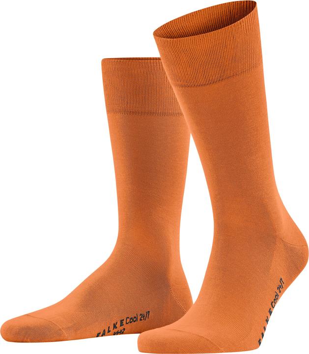 Image du produit Falke Cool 24/7 Men (39 - 40)