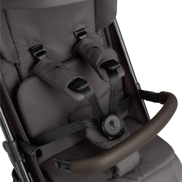 Image du produit ABC Design Ping 3 Trekking Buggy - Reisebuggy ab 6 Monaten bis 22 kg