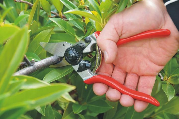 Produktbild Felco Gartenschere 6