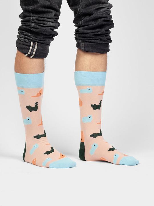Immagine prodotto DillySocks Purrrfetto (Confezione singola, 41 - 46)