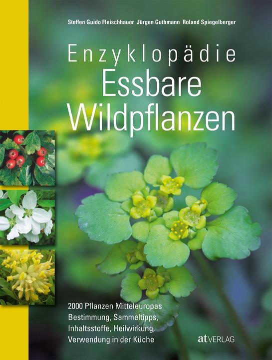 Actual product image Enzyklopädie Essbare Wildpflanzen (German, Steffen Guido butcher, 2013)
