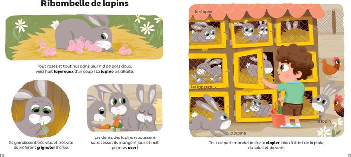 Produktbild Larousse jeunesse La ferme (Bécue Benjamin, Guidoux Valérie, Französisch)