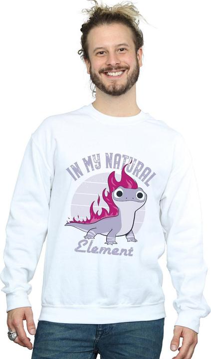 Produktbild Disney Frozen 2 Salamander Bruni Element Sweatshirt (XXL)