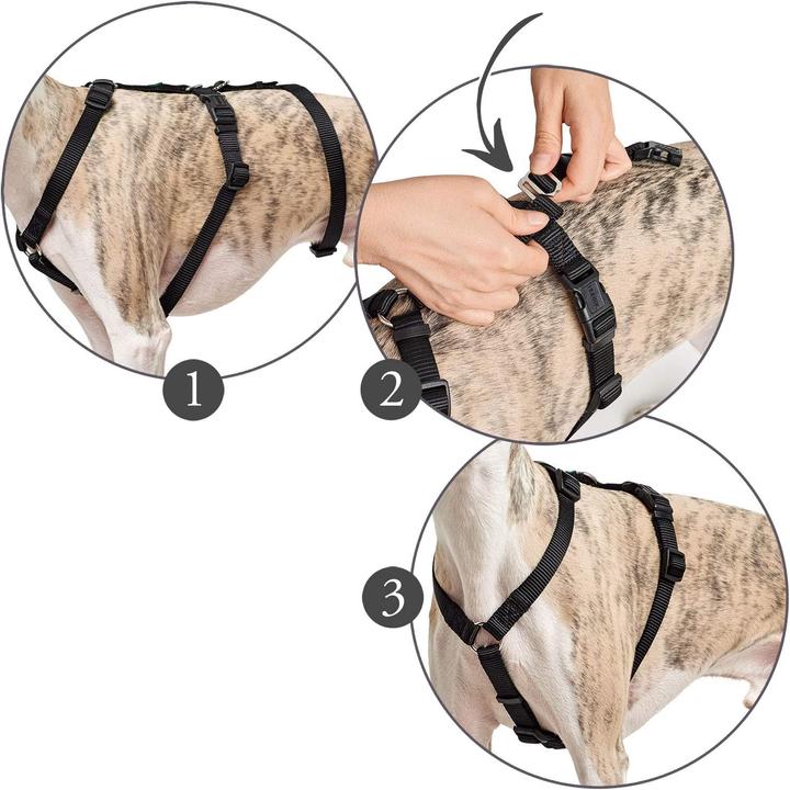 Produktbild Hunter Sicherheitsgeschirr Vario Rapid (M, L, Hund, Allgemein, Spazieren)