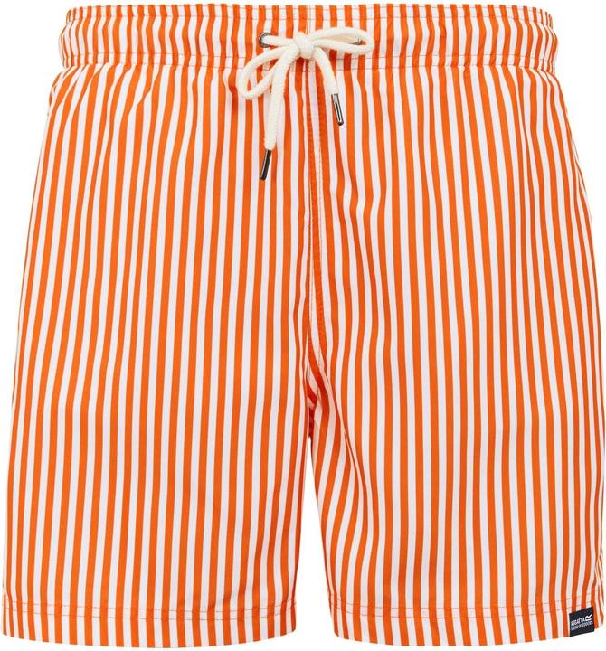 Immagine prodotto Regatta Loras Costume da Bagno a Pantaloncino Strisce Uomo (L)