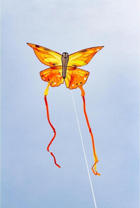 Actual product image Invento Kite Ecoline BK Sunrise Butterfly Kite, 120x95 cm, 5 y., handle and 25 m line