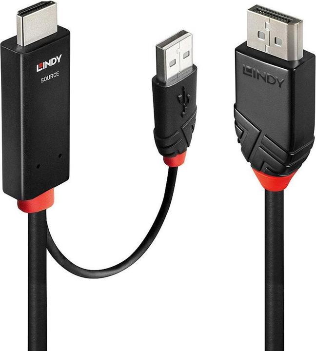 Actual product image Lindy HDMI to DisplayPort adapter cable (2 m, HDMI)
