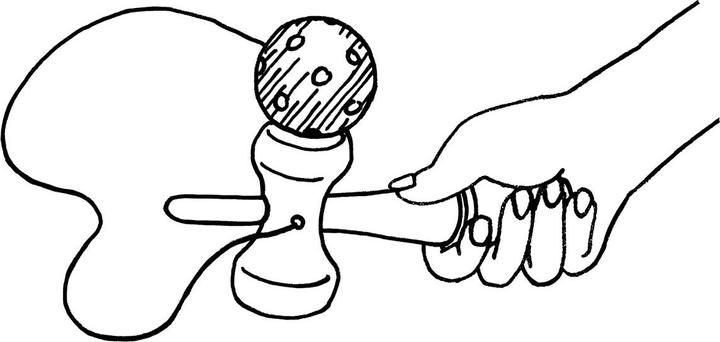 Actual product image Goki Wooden Kendama