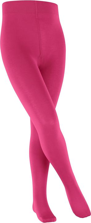8856 fuchsia