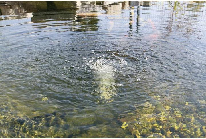 Actual product image Esotec Solar pond aerator 120 l/h So
