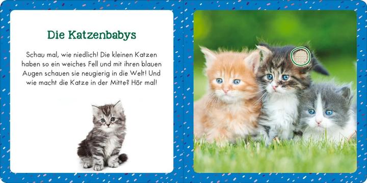 Produktbild Soundbuch für Klitzekleine – Kleine Tiere (Deutsch)