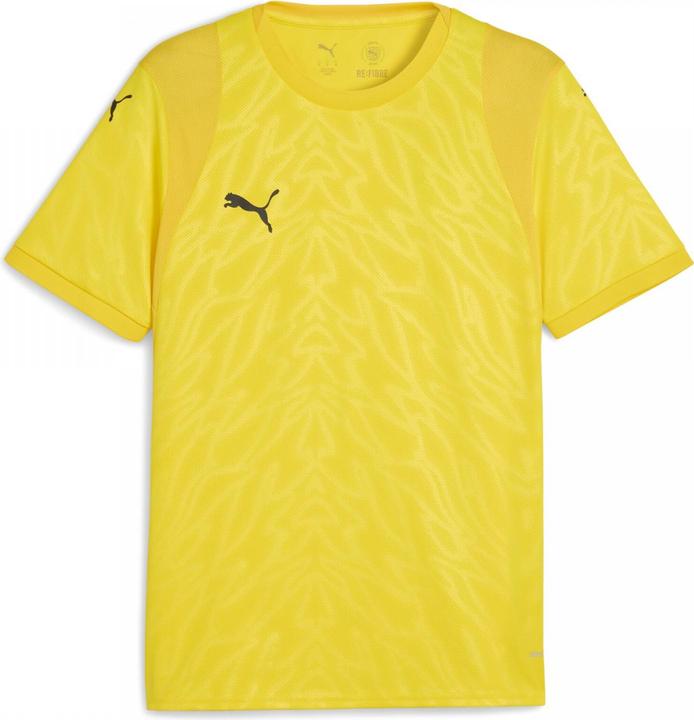 Produktbild Puma teamCUP Jersey (L)