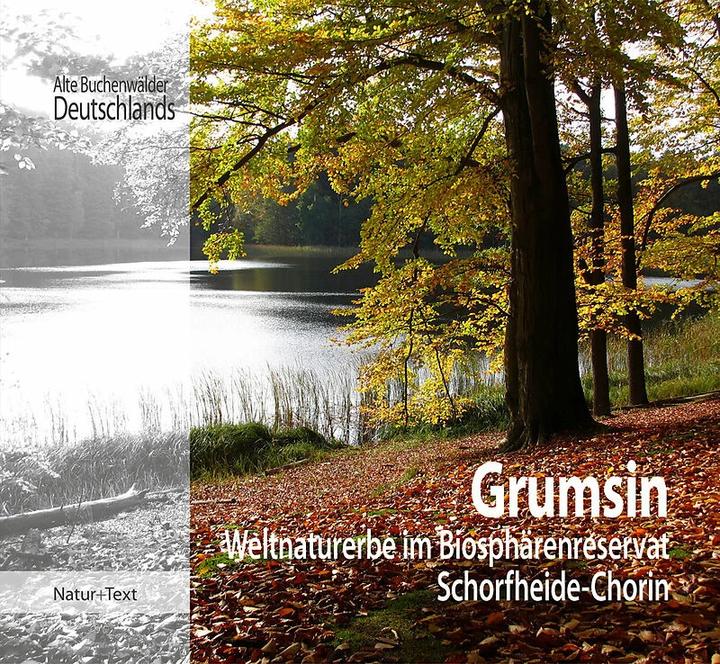 Produktbild Grumsin (Deutsch, Landesamt für Umwelt Brandenburg, Beate Blahy, Martin Flade, 2017)