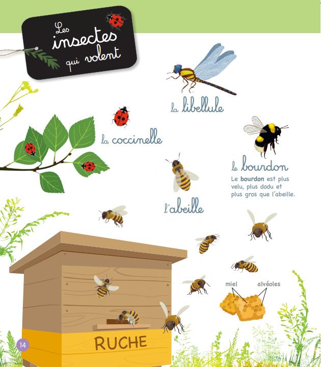 Image du produit Le grand imagier Montessori de la nature et des animaux (Français, Georges Laurence, 2023)