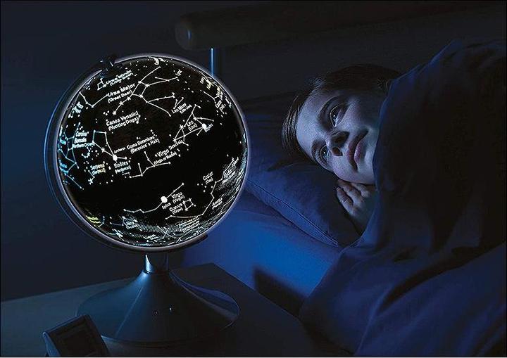 Actual product image Brainstorm Globe (22.80 cm)