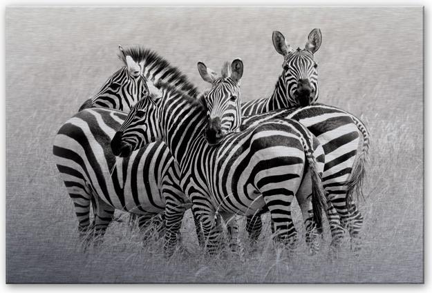 Actual product image Trenddeko Trubitsyn - Zebras in the Savannah (100 x 70 cm)